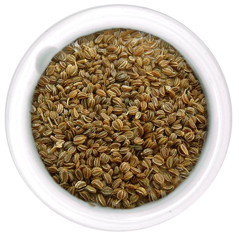 Celery seed Celery seed - Image 1