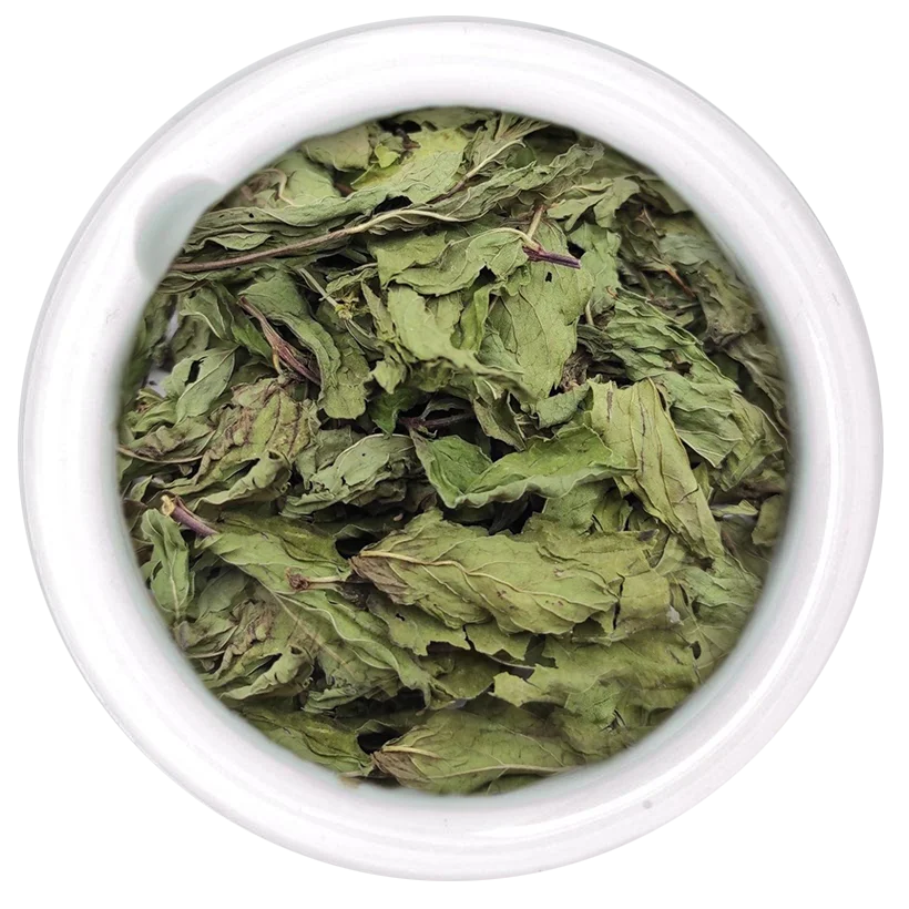 Spearmint Spearmint - Image 1